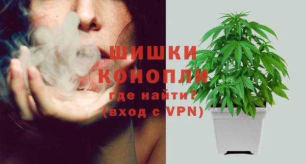 крисы Кинешма
