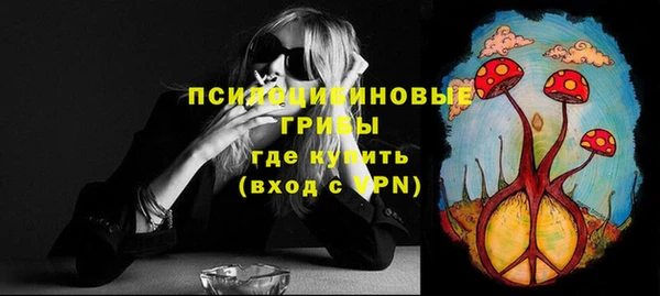 PSILOCYBIN Киренск