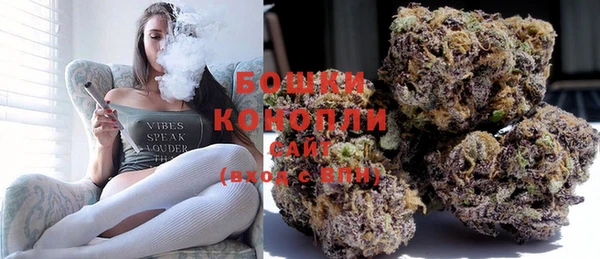 PSILOCYBIN Киренск