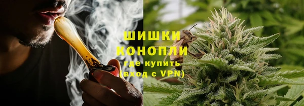 PSILOCYBIN Киренск