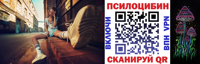 Купить закладки  Баксан  Псилоцибиновые грибы Psilocybe 